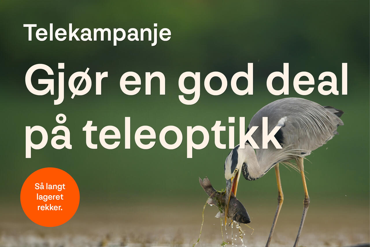 Telekampanje